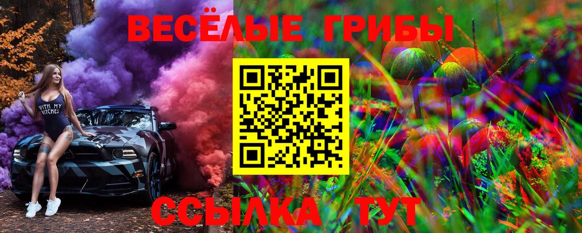 Шарыпово  Псилоцибиновые грибы GOLDEN TEACHER  Вход с VPN  Псилоцибиновые грибы Psilocybe 